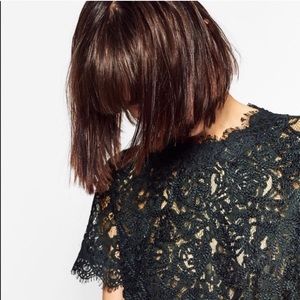 zara • green embroidered lace high neck top